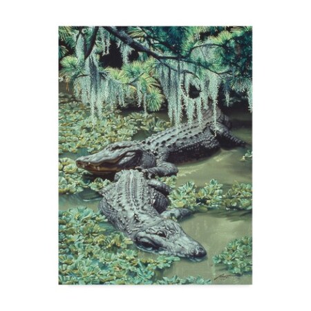 D. Rusty Rust 'Alligators ' Canvas Art,24x32